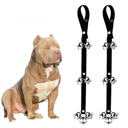 Potty Training Bells